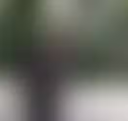 Saint Georges et l'Art